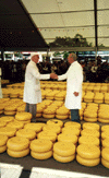 Alkmaar : le marché aux fromages